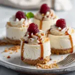 Best Mini Cheesecakes New York Style